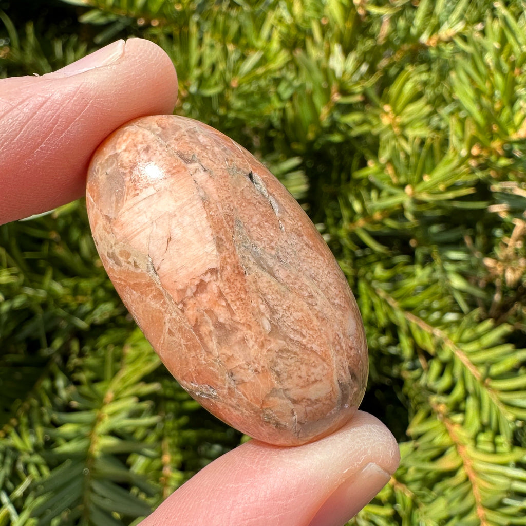 Peach Moonstone Shiva