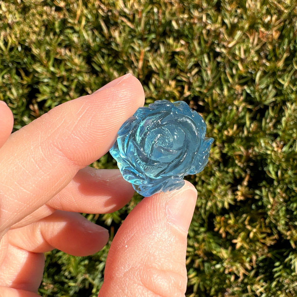 Aquamarine Rose