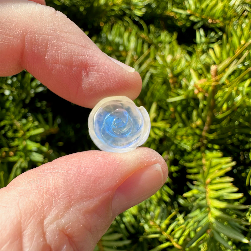 Rainbow Moonstone Rose