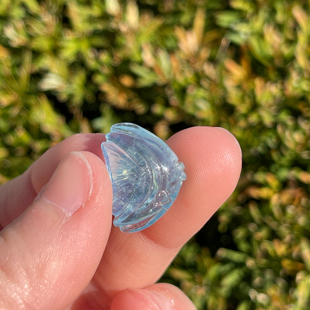 Aquamarine Fish