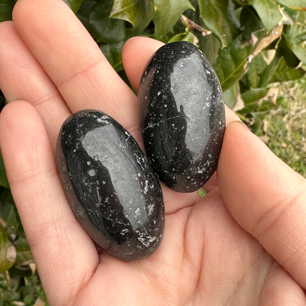 Black Tourmaline Shiva