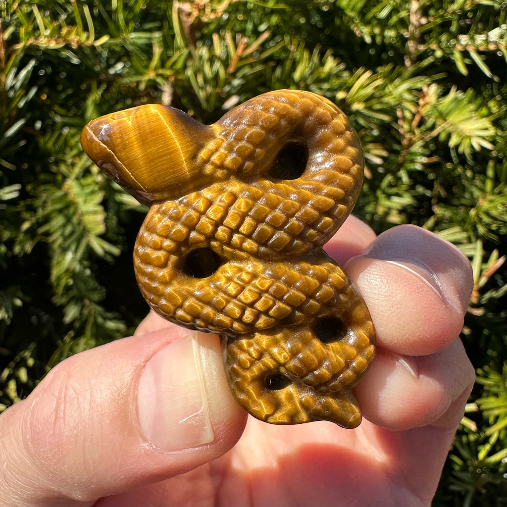 Tiger's Eye Snake