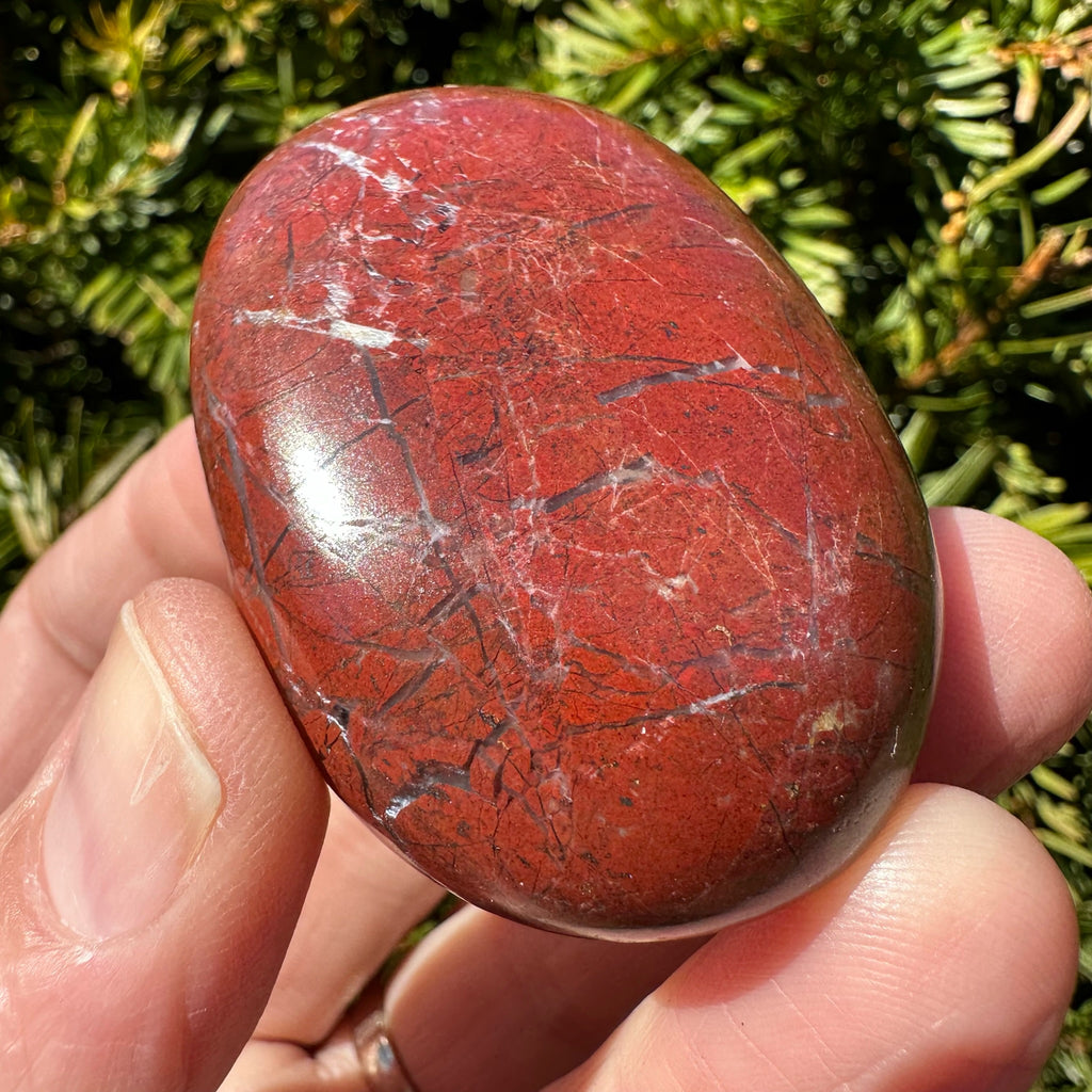 Red Jasper Palm Stone