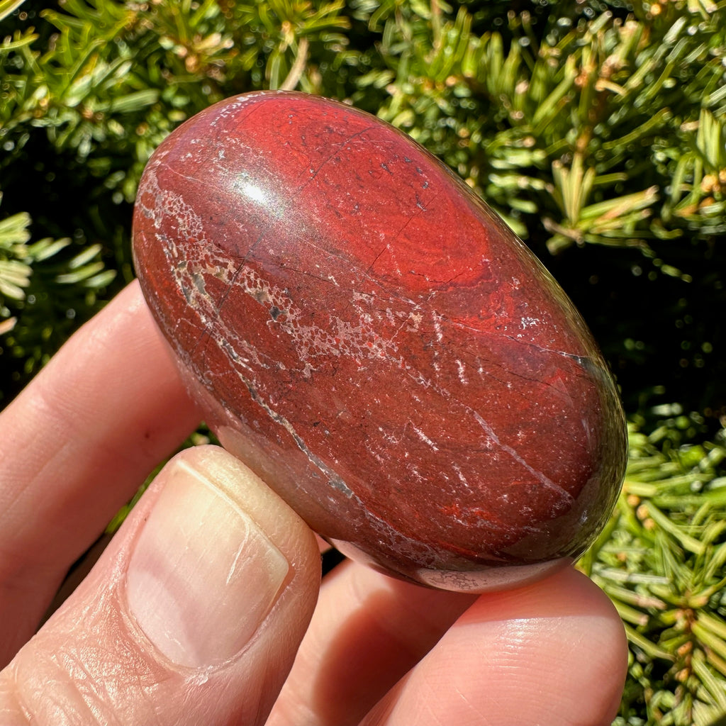 Red Jasper Shegg-va