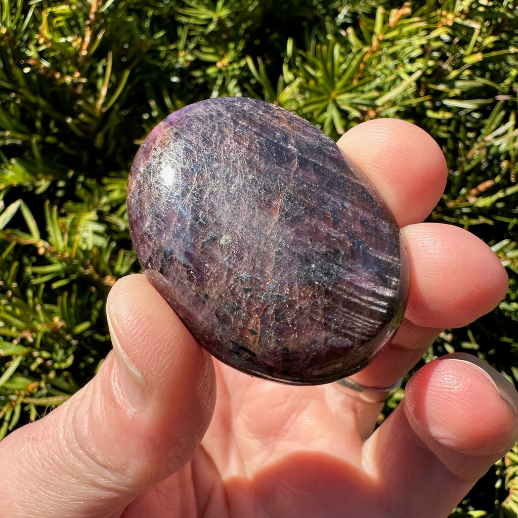Ruby Palm Stone