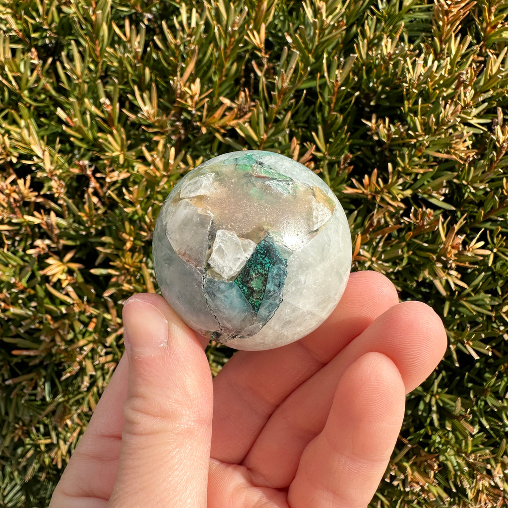 Quantum Quattro Sphere