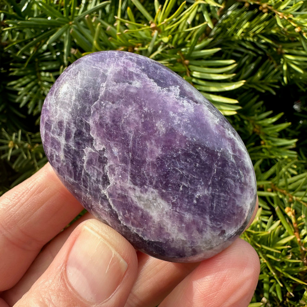 Lepidolite Palm Stone