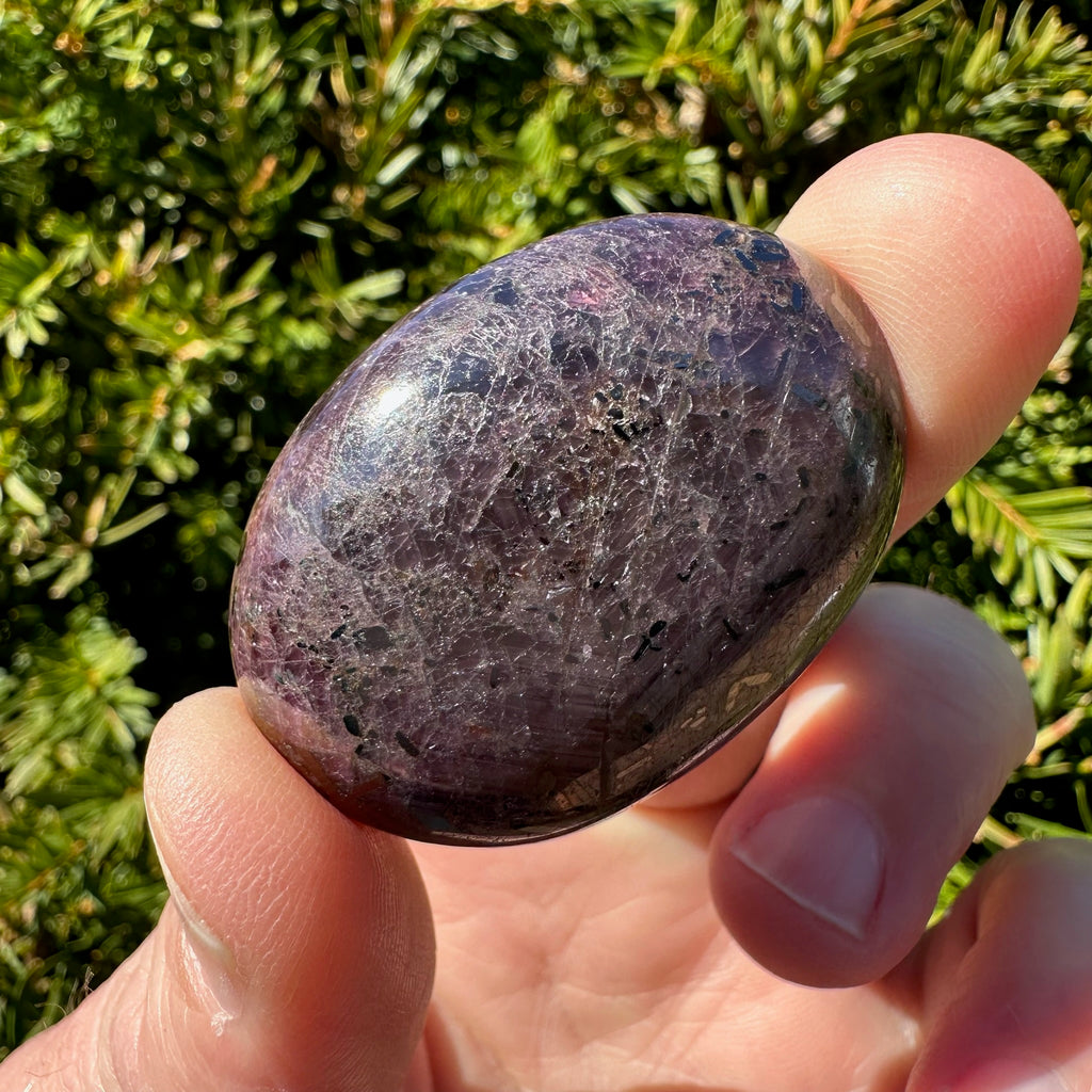 Ruby Palm Stone