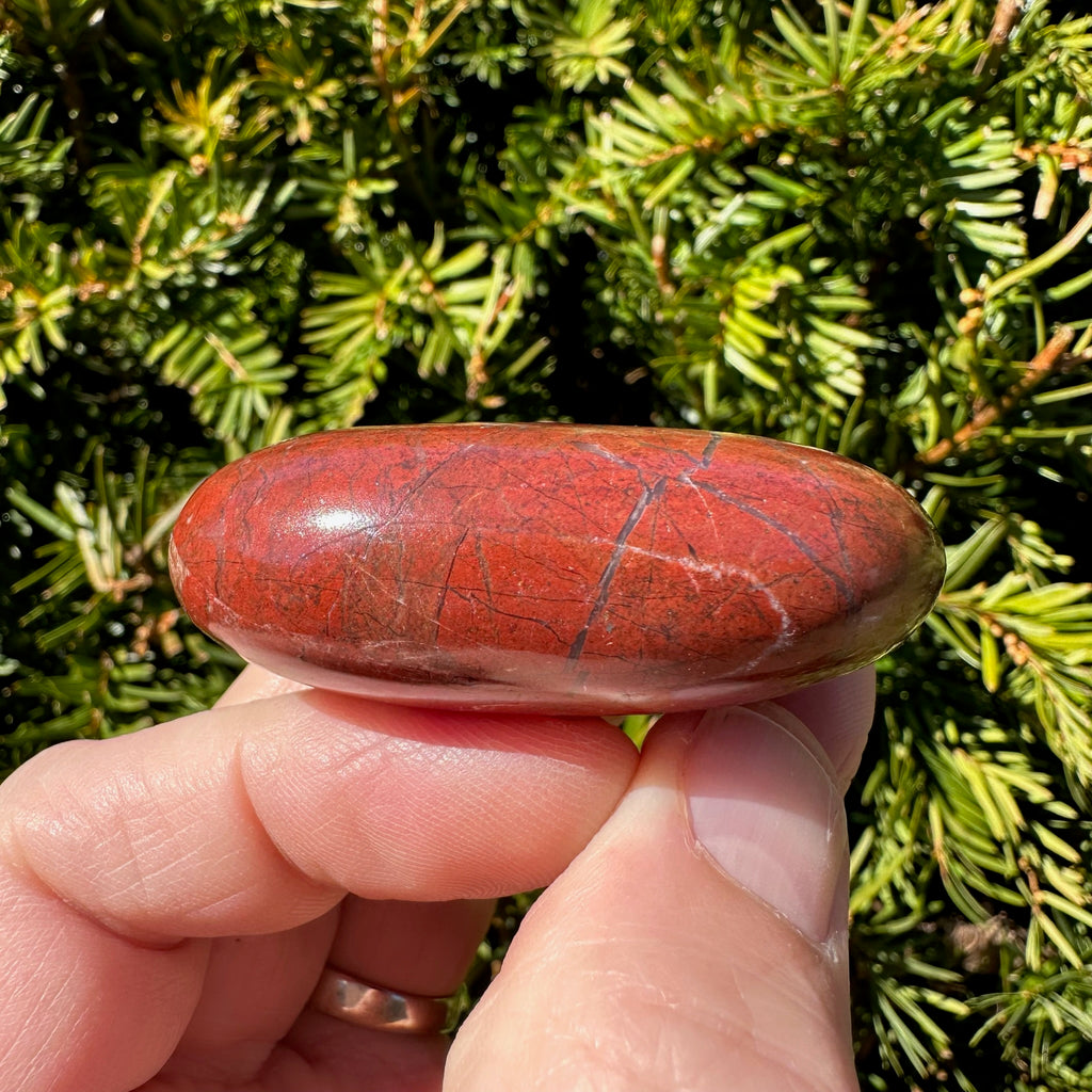 Red Jasper Palm Stone