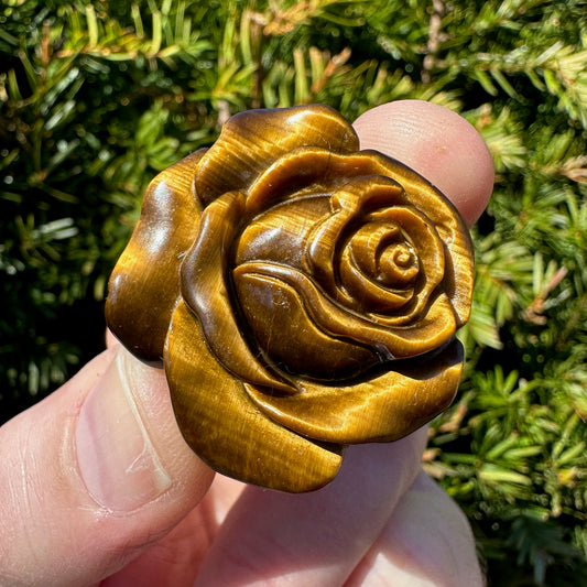 Tiger's Eye Rose