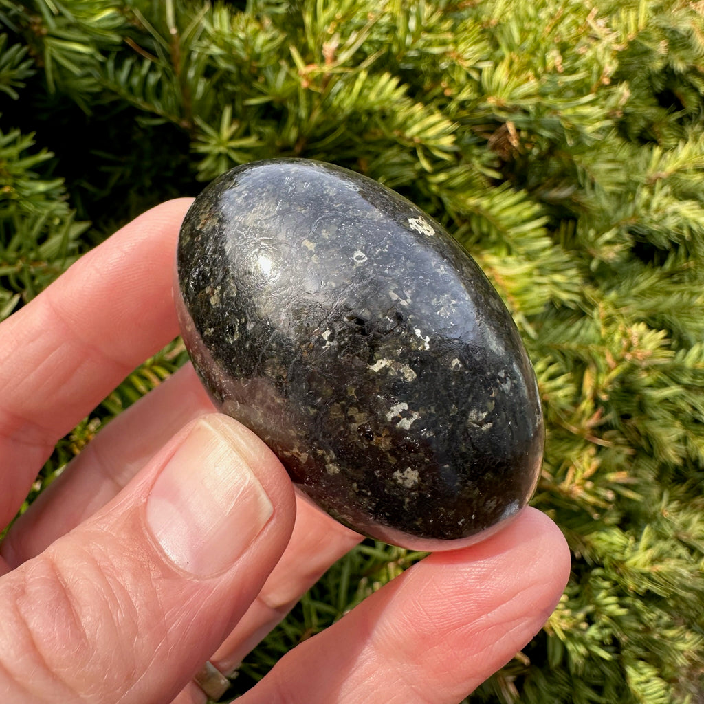 Nuummite Shegg-va