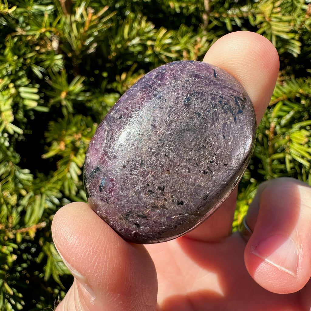 Ruby Palm Stone