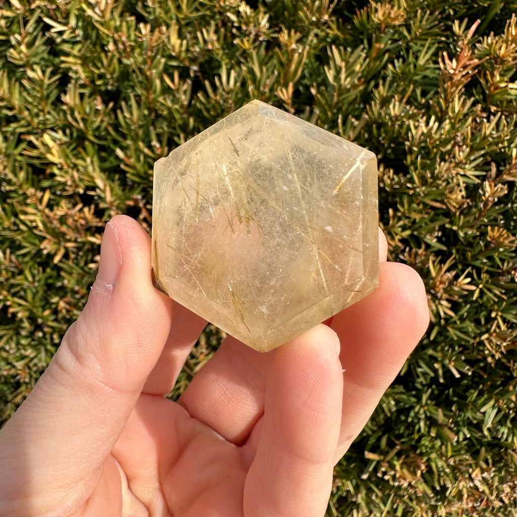 Gold Rutile Quartz Hexagon