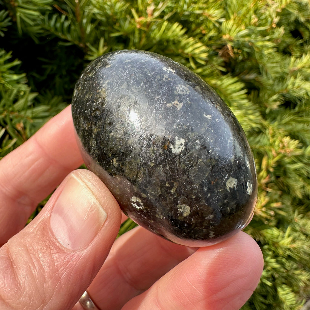 Nuummite Shegg-va
