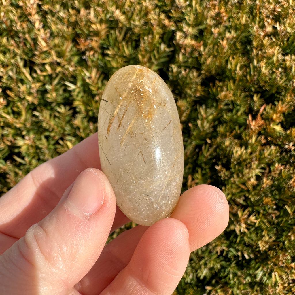 Gold Rutile Quartz Shiva