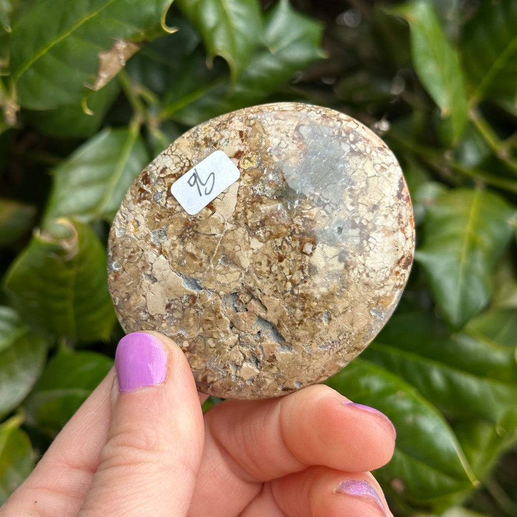 Ibis Jasper Palm Stone