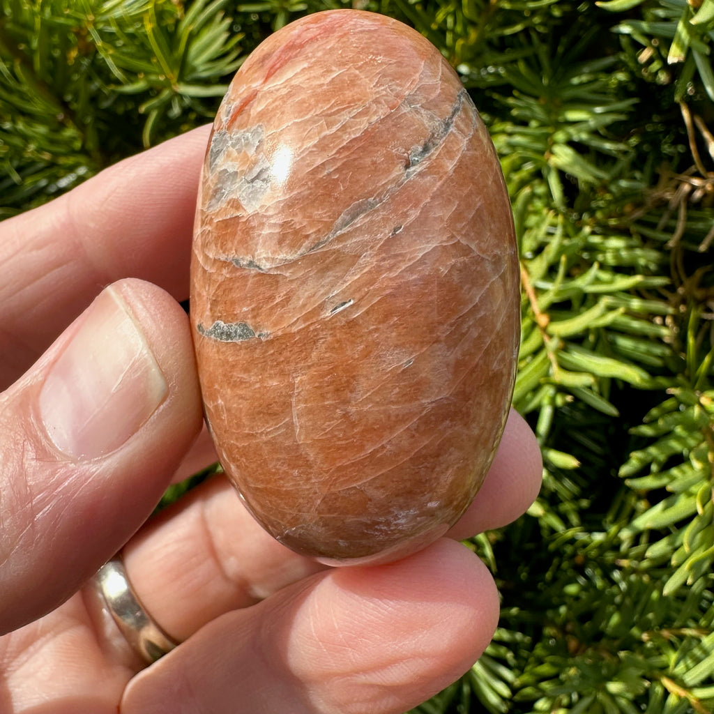 Peach Moonstone Shegg-va