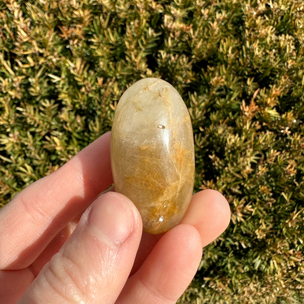 Gold Rutile Quartz Shiva