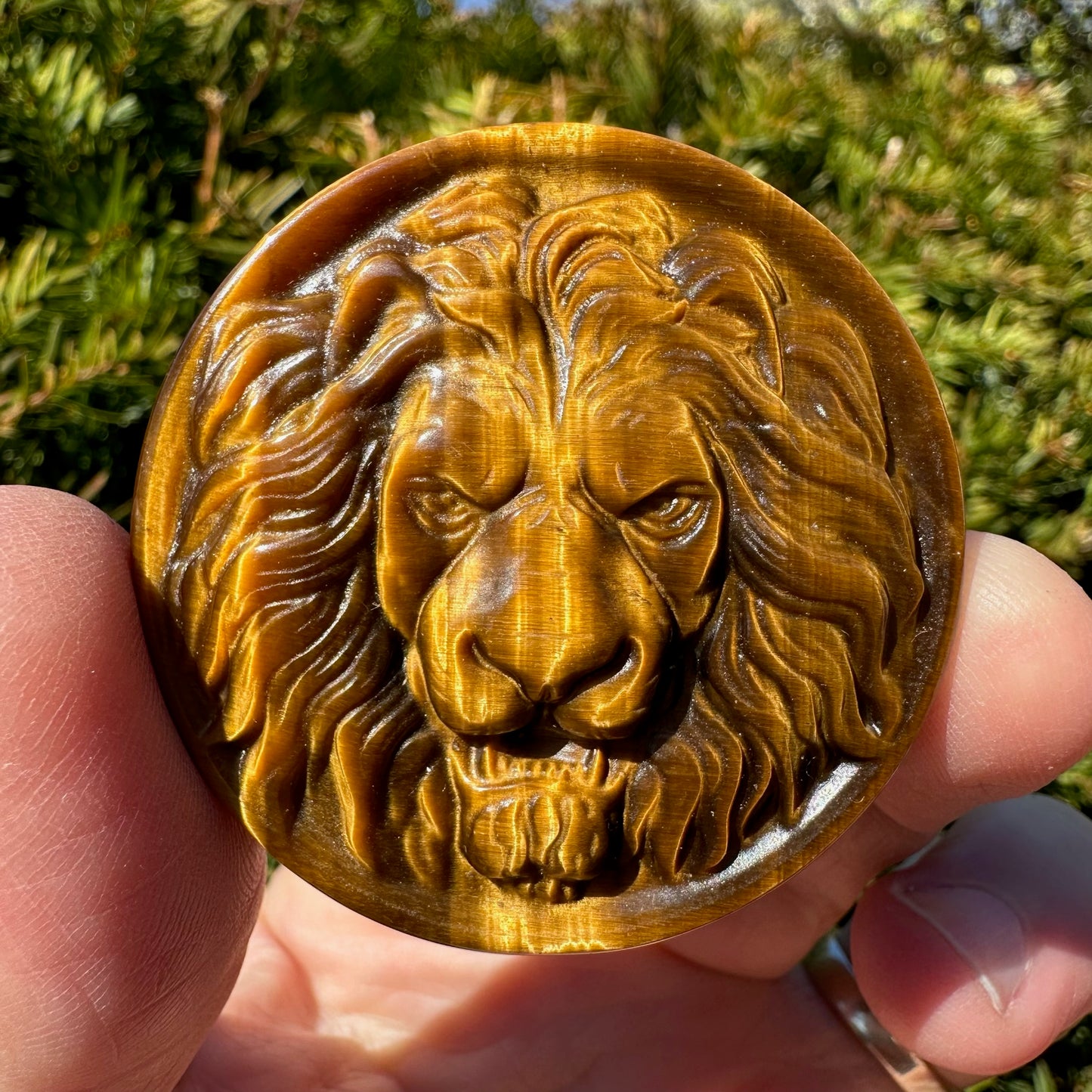 Tiger's Eye Lion Medallion