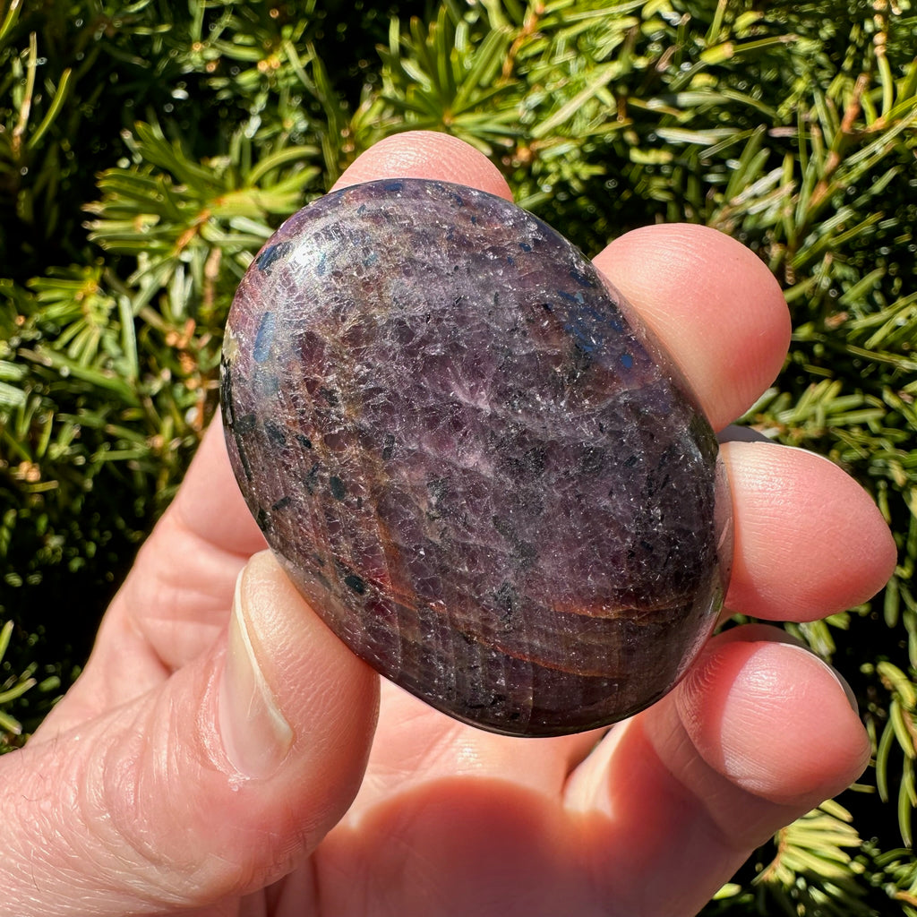 Ruby Palm Stone