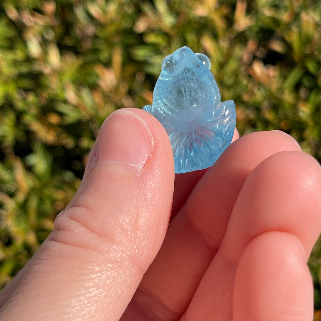 Aquamarine Fish