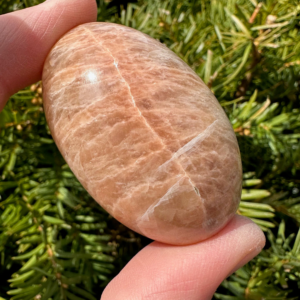 Peach Moonstone Shegg-va