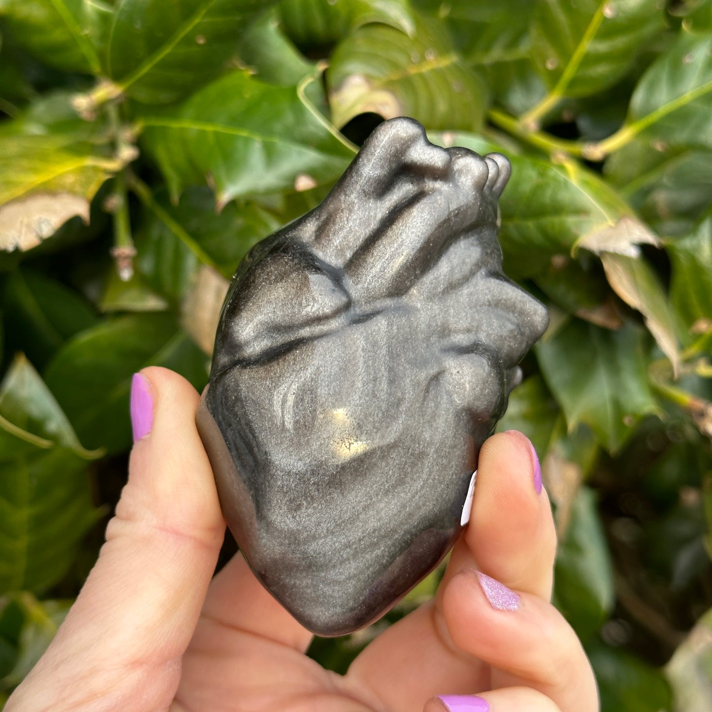 Silversheen Obsidian Anatomical Heart