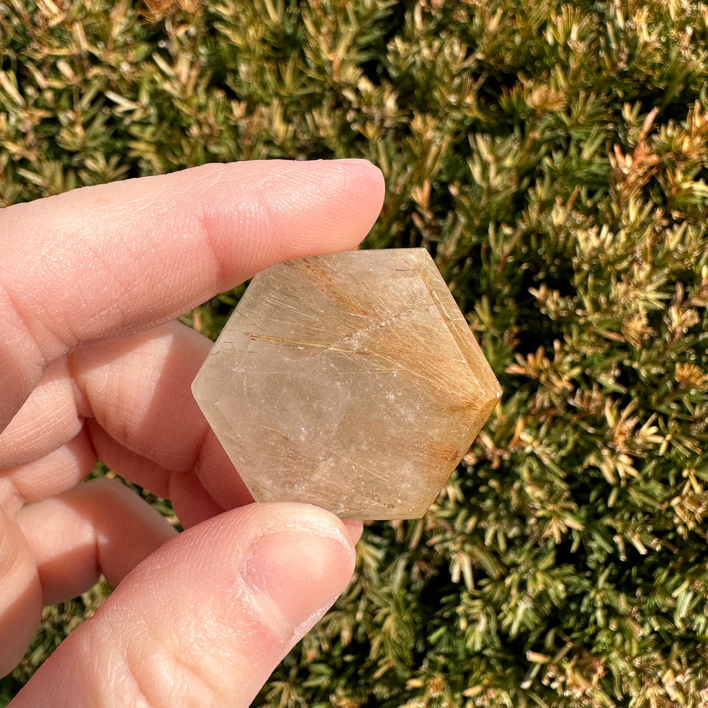 Gold Rutile Quartz Hexagon
