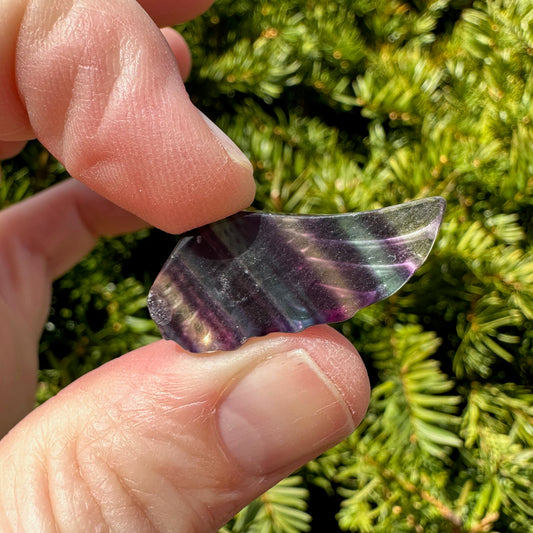 Rainbow Fluorite Wing