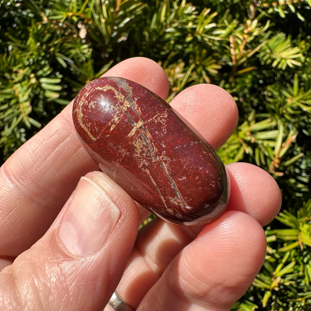 Red Jasper Shiva
