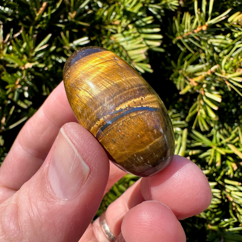 Tiger's Eye Shiva
