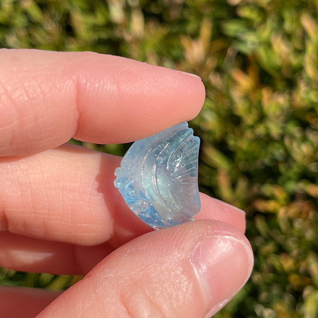 Aquamarine Fish