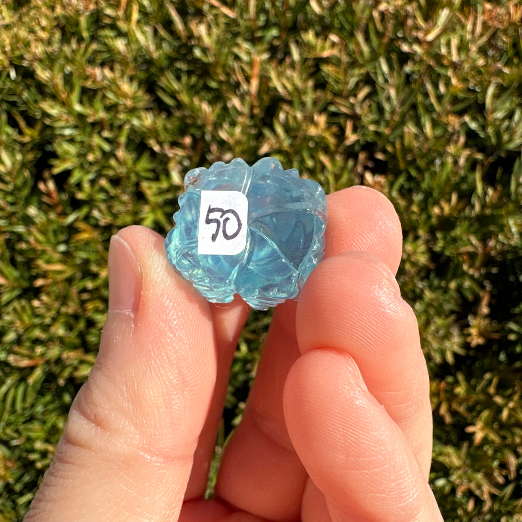 Aquamarine Rose