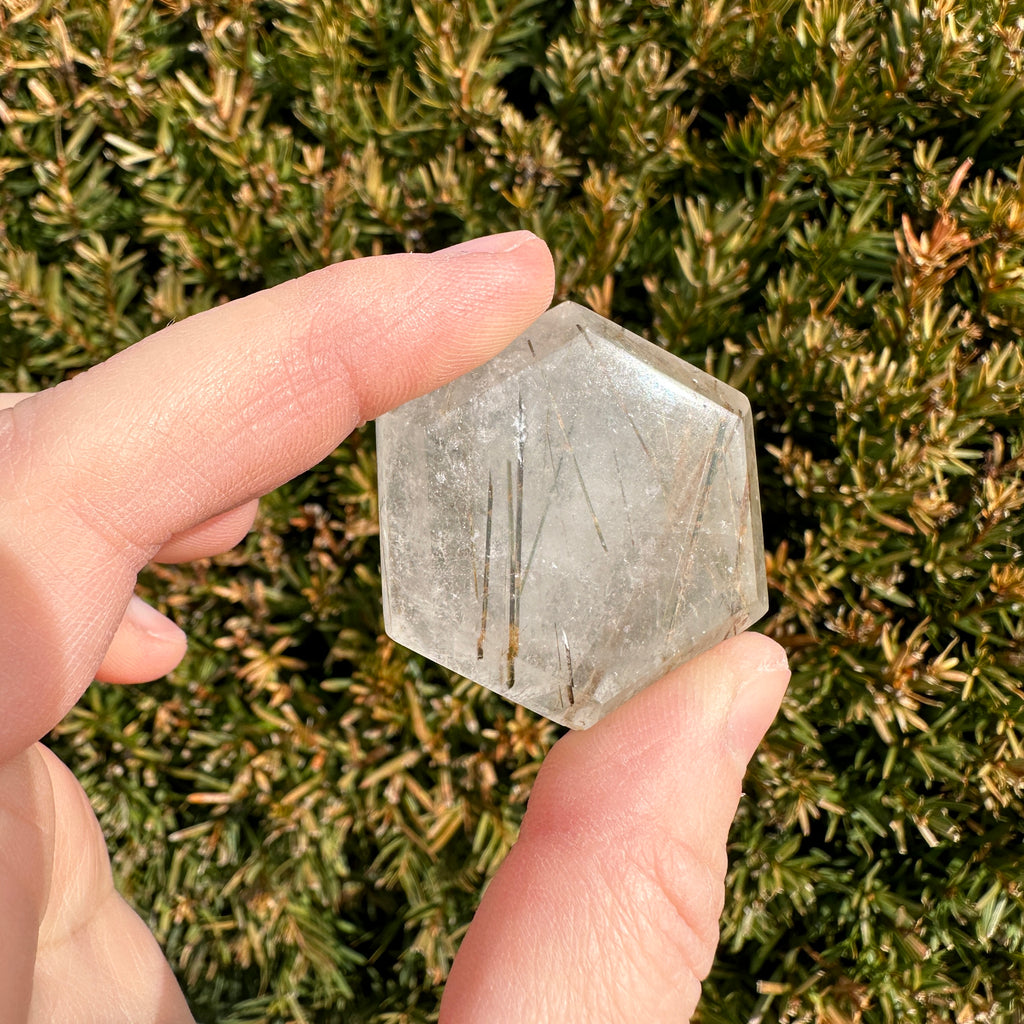 Gold Rutile Quartz Hexagon