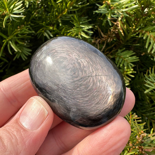 Hypersthene Palm Stone
