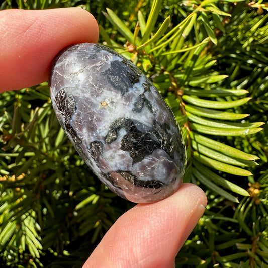 Indigo Gabbro (Merlinite) Shiva