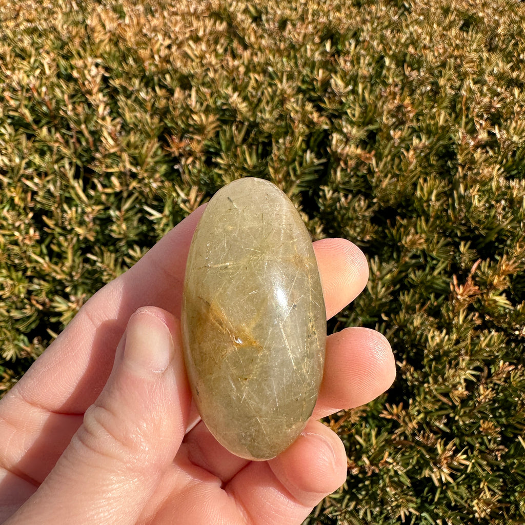 Gold Rutile Quartz Shiva