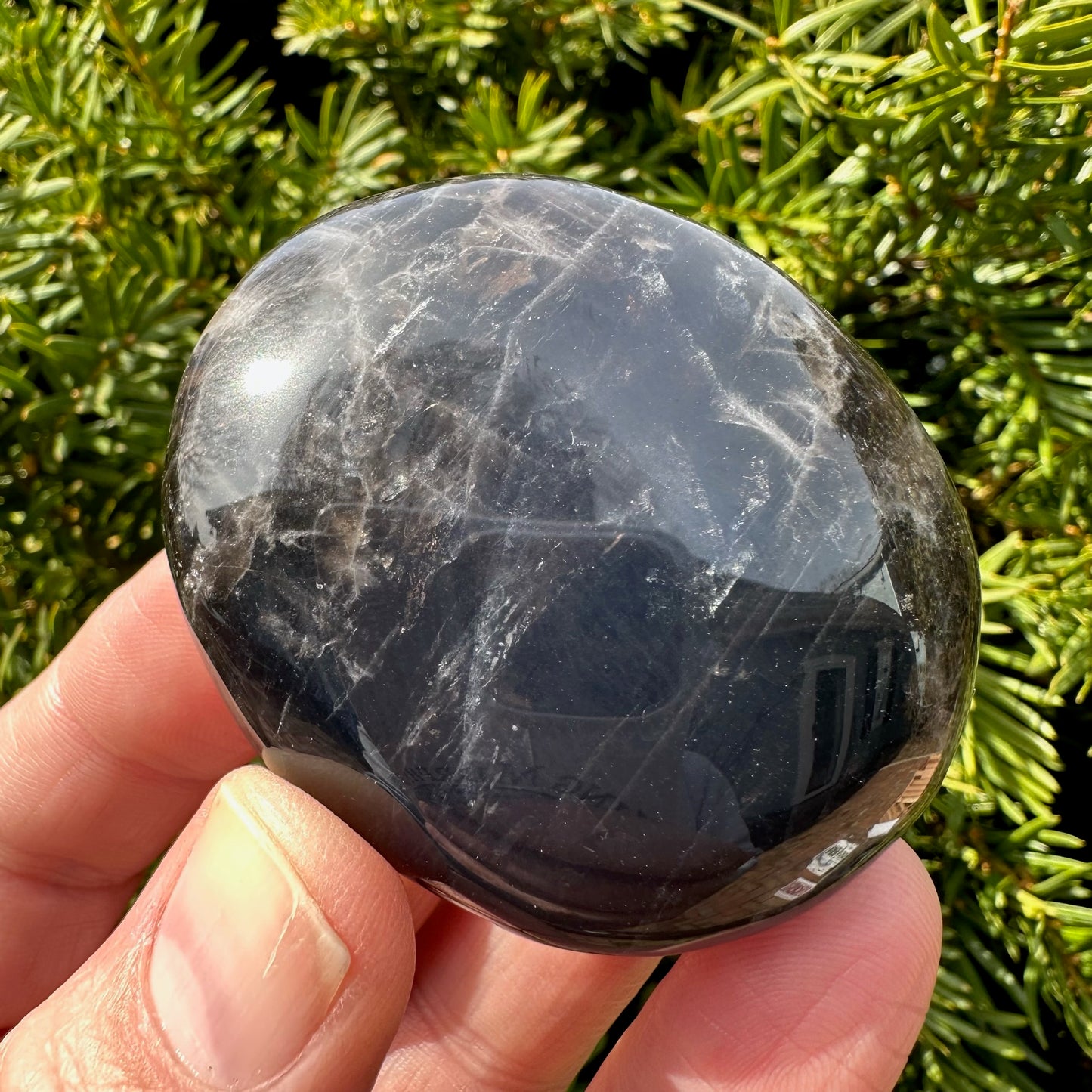 Black Rose Quartz Palm Stone