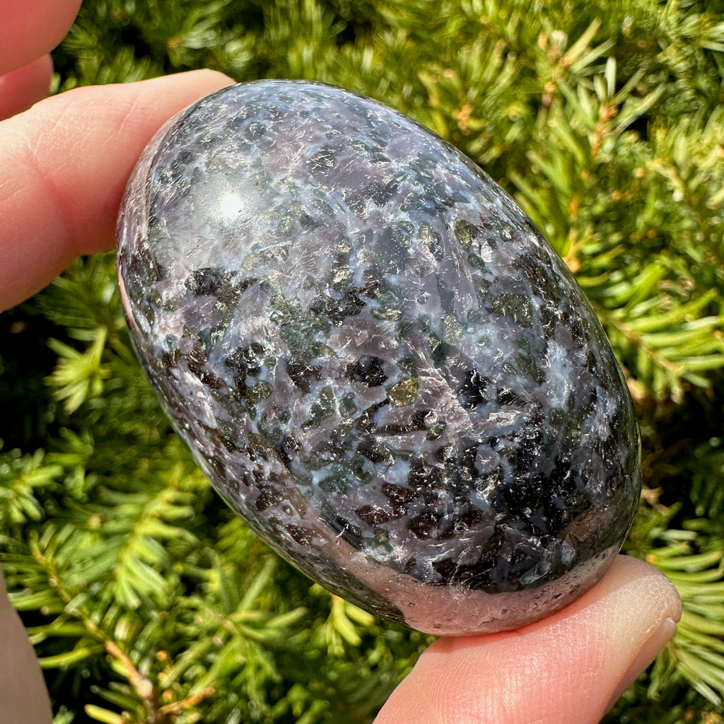 Indigo Gabbro (Merlinite) Shegg-va
