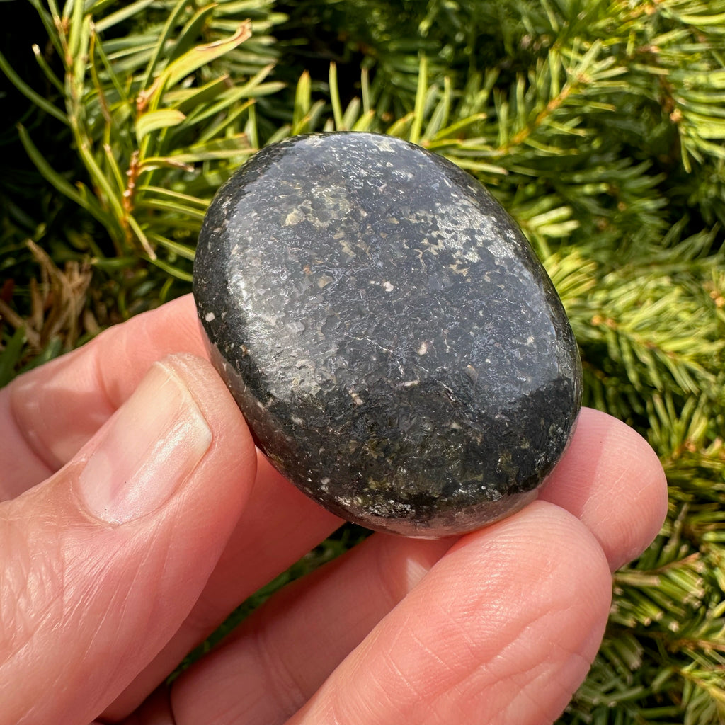 Nuummite Palm Stone