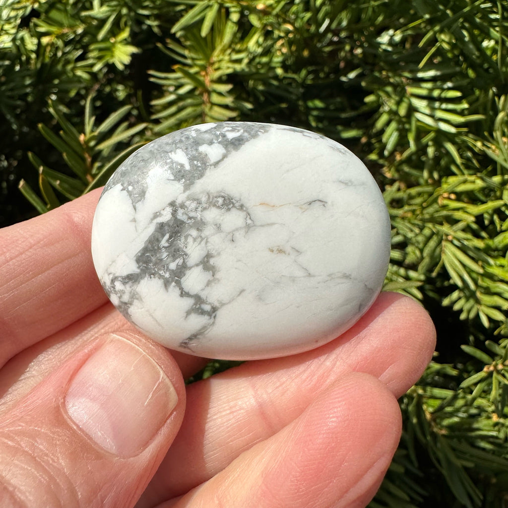 Howlite Palm Stone
