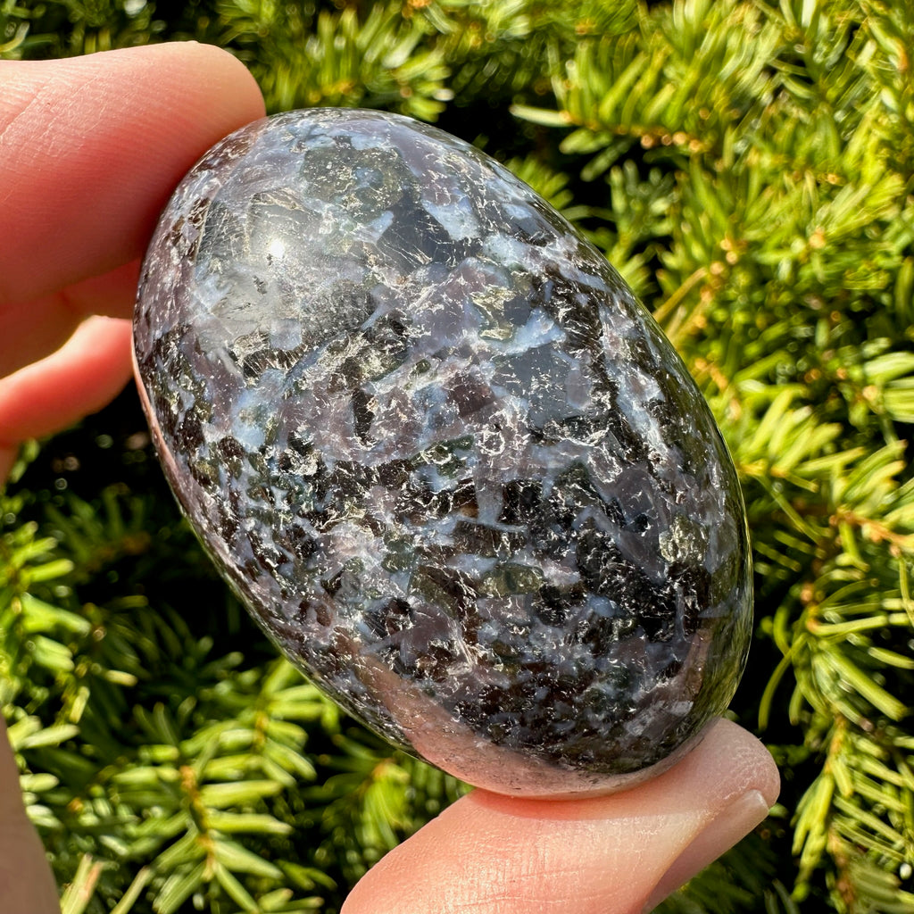 Indigo Gabbro (Merlinite) Shegg-va