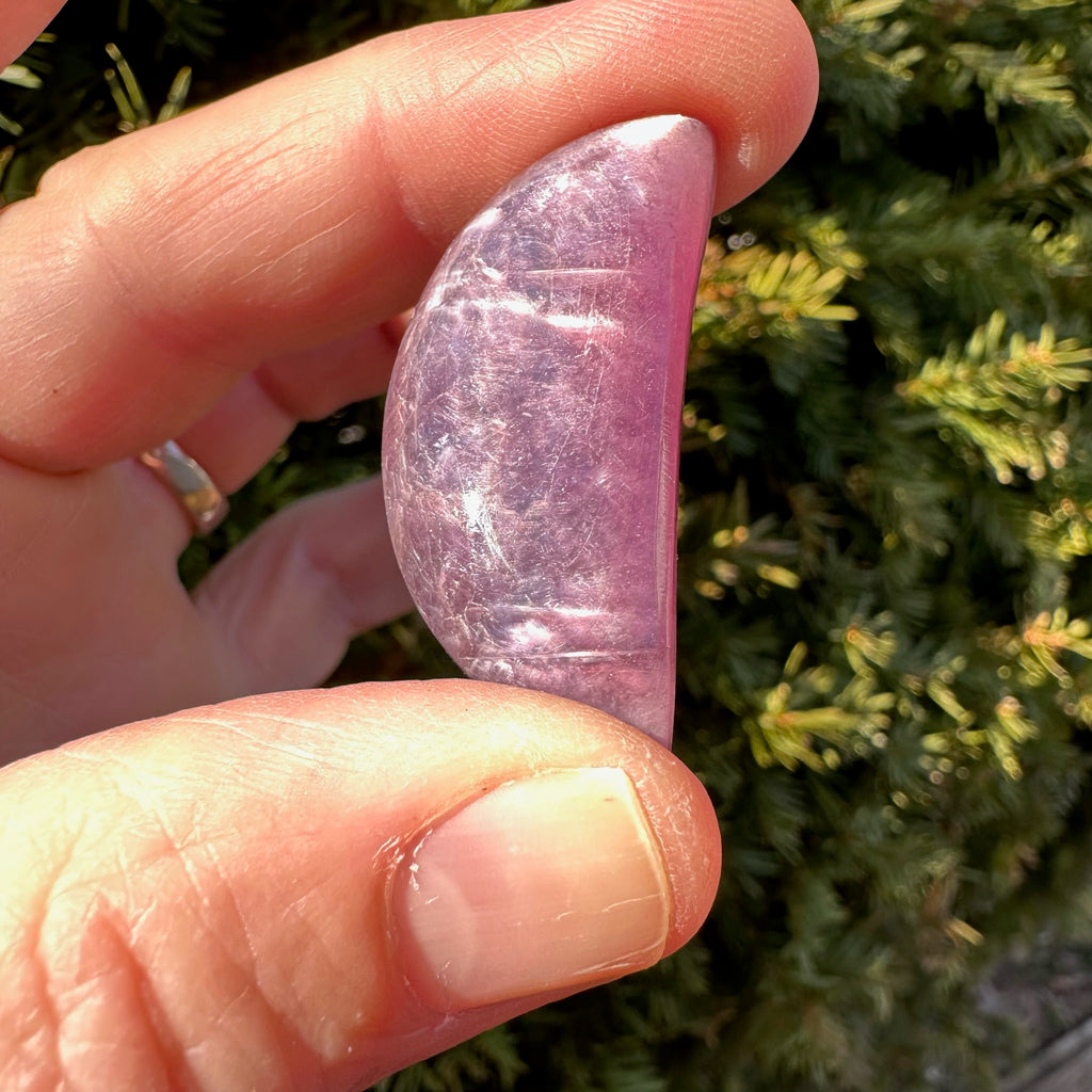 Lepidolite Moon