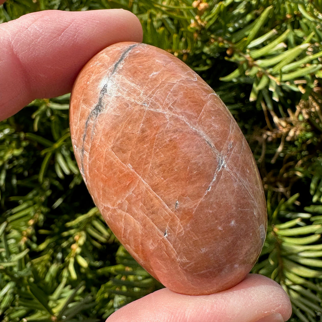 Peach Moonstone Shegg-va