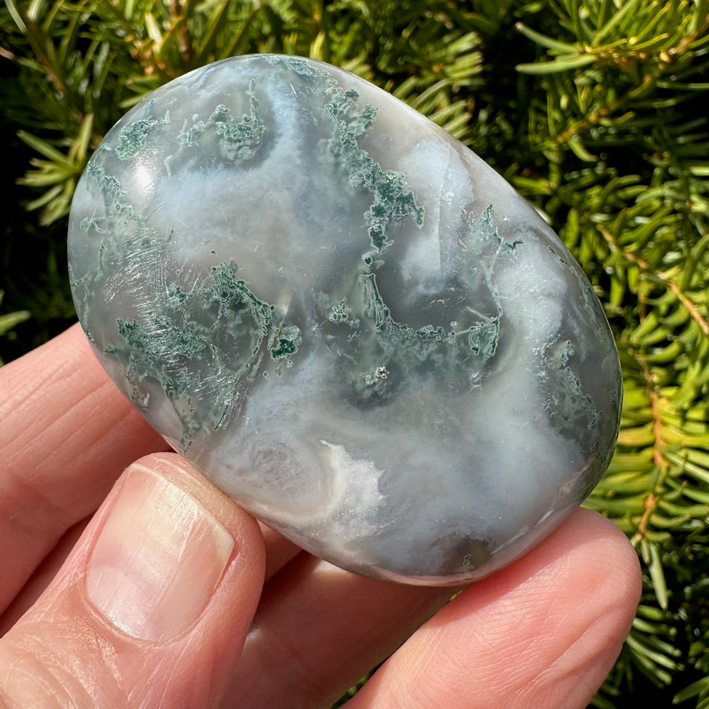 Moss Agate Palm Stone