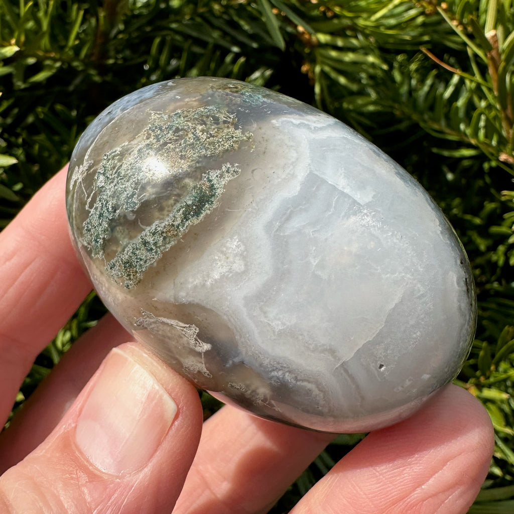 Moss Agate Shegg-va