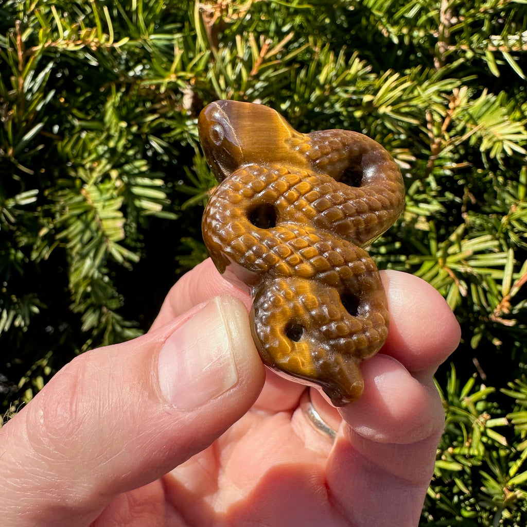 Tiger's Eye Snake