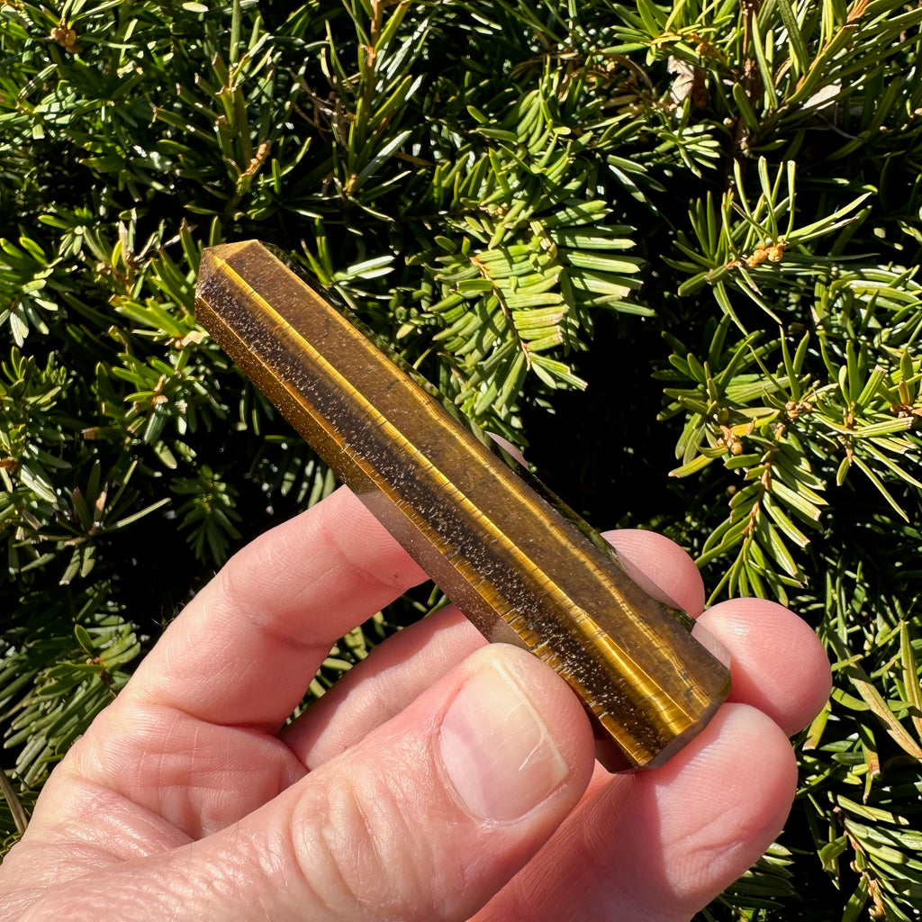 Tiger's Eye Tower