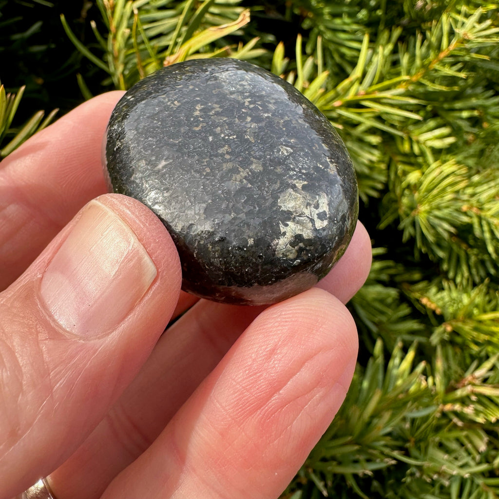 Nuummite Palm Stone