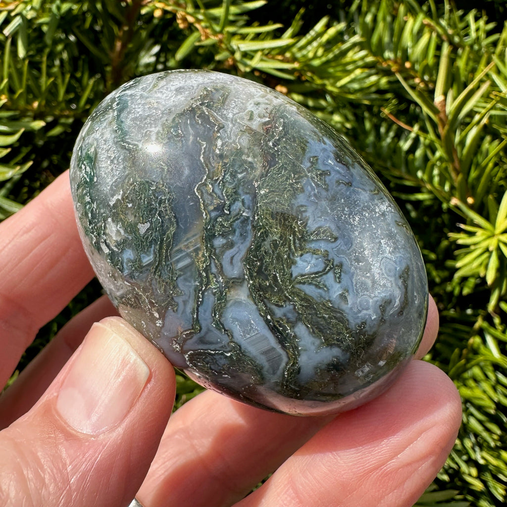 Moss Agate Shegg-va